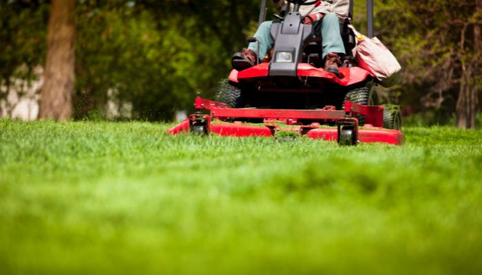 Lawn Care or Yard Work Services